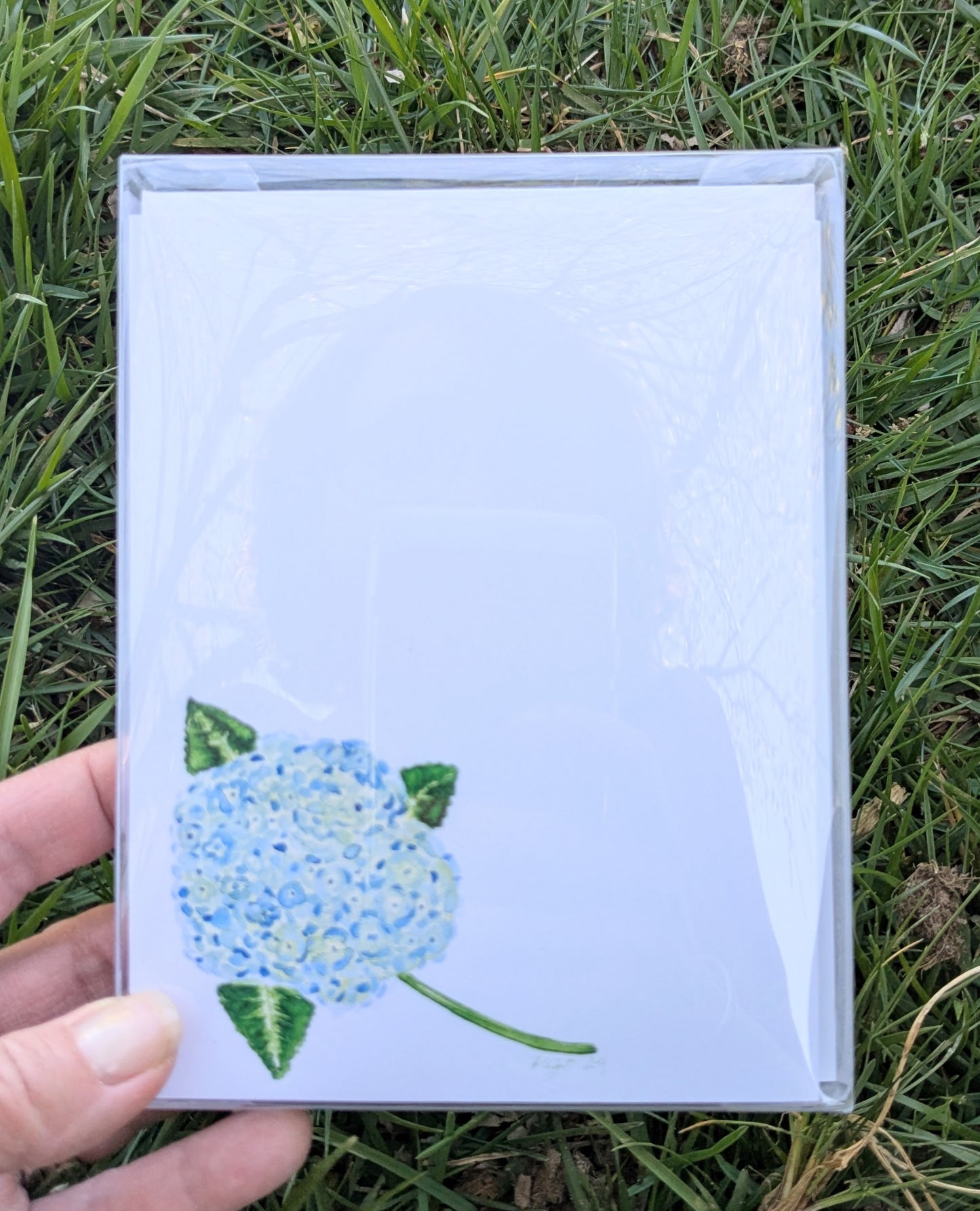 Hydrangea Notecards